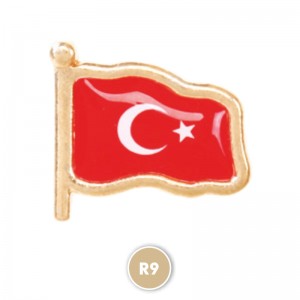 R9 Sarı Rozet